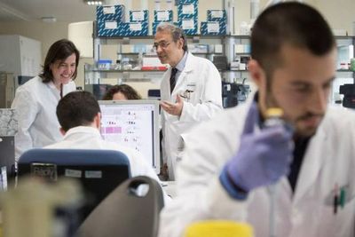 Investigadores en EE.UU. desarrollan hígados en miniatura para estudio - Ciencia - ABC Color