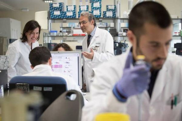 Investigadores en EE.UU. desarrollan hígados en miniatura para estudio - Ciencia - ABC Color