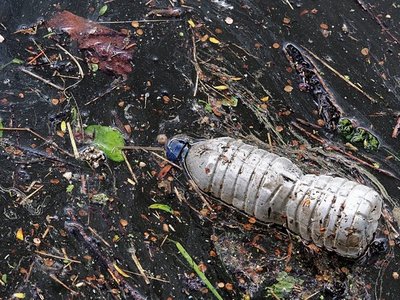 La crisis climática aumenta un tipo de mercurio dañino en los pescados