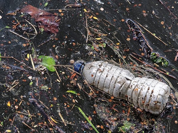 La crisis climática aumenta un tipo de mercurio dañino en los pescados