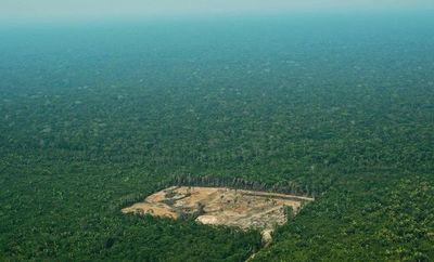 Bolsonaro insiste en explotar la Amazonía mientras crece la deforestación - Mundo - ABC Color