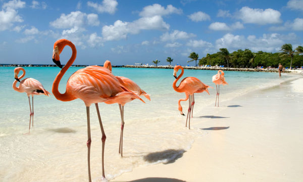 Destinos |10 motivos para visitar Aruba