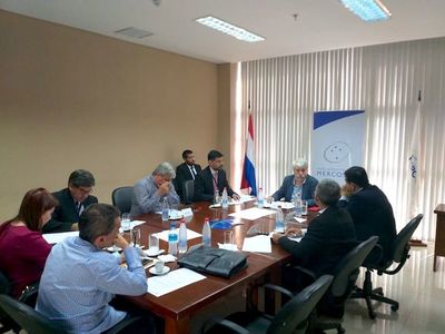 Plantea que la Ande compre el 50% de la energía no garantizada