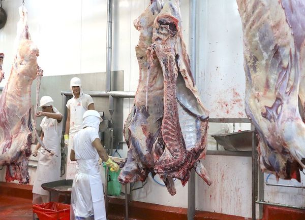 Precio del ganado local está por el suelo, dice titular de la ARP