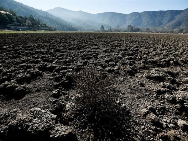 Hay que cambiar la dieta para parar el cambio climático, advierte ONU