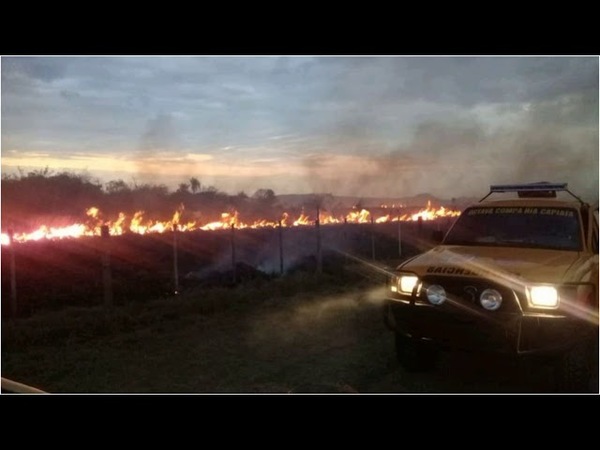 INCENDIO AFECTA A UNAS 400 HECTÁREAS DE ESTANCIA