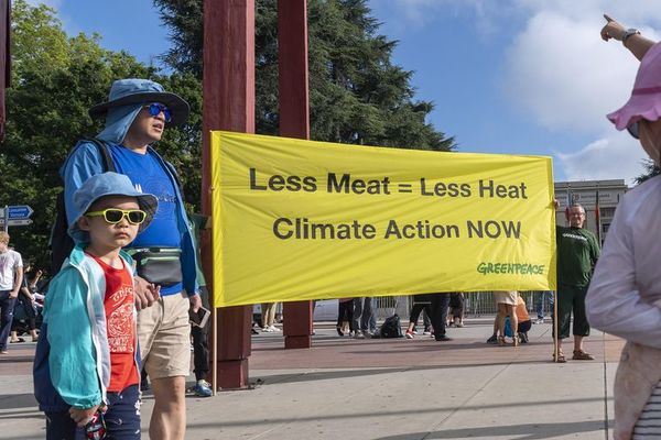 ONU advierte de que hay que cambiar la dieta para frenar el cambio climático - Mundo - ABC Color
