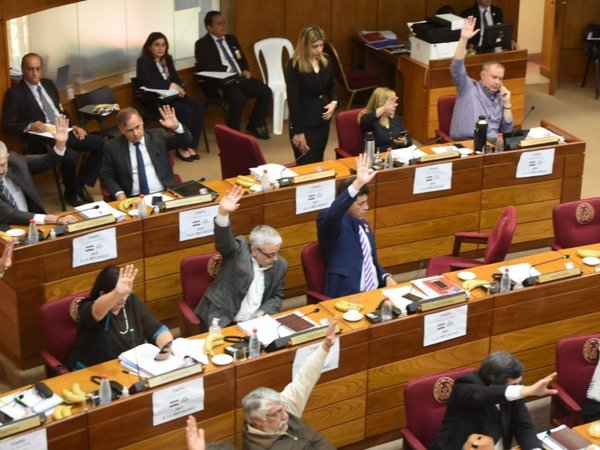 Senadores opositores critican inestabilidad política e incapacidad de Mario Abdo