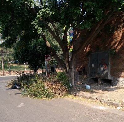Basura, nuevo “encanto” de Asunción - Crónicas Ciudadanas - ABC Color