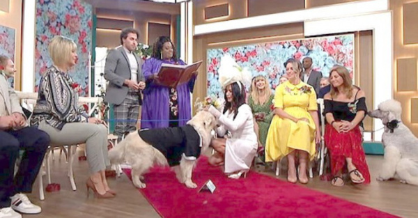 Mujer se casa con su perro en televisión