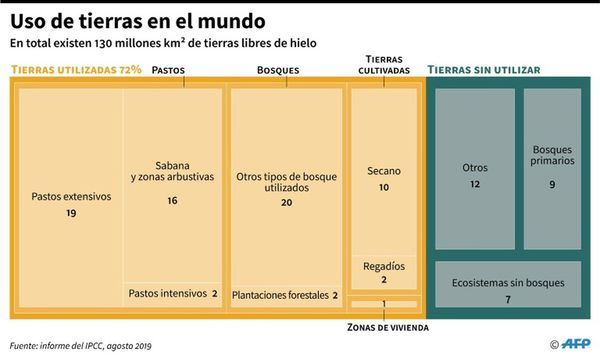 ONU: Cambiar el uso de la tierra es esencial para el clima