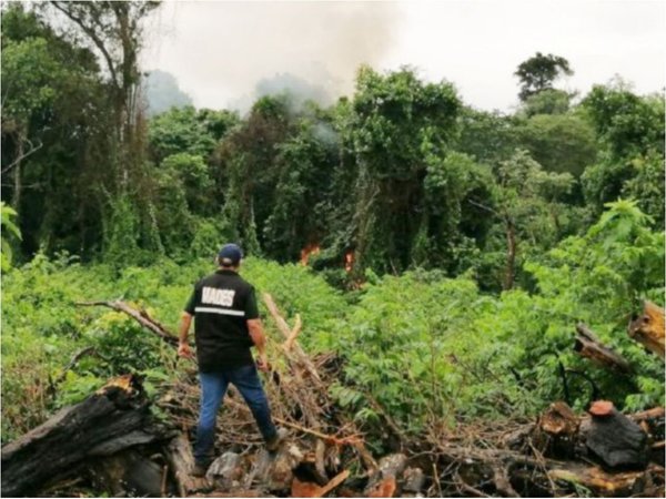 Sospechan que móvil del atentado tendría que ver con el narcotráfico