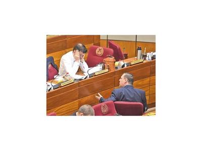 El Senado se convirtió en un ring de ataque y defensa al presidente