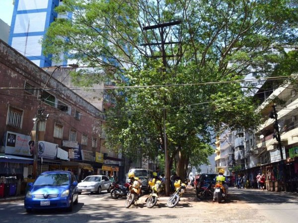 CDE: Municipalidad volverá a cobrar por estacionamiento desde el lunes