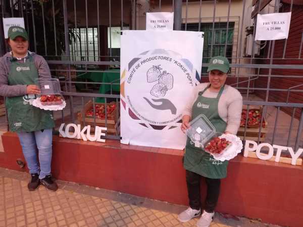 Productoras de frutilla de Caaguazú harán feria hoy en Asunción y Limpio | .::Agencia IP::.