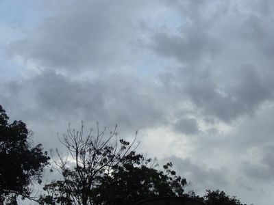 Meteorología anuncia viernes fresco y con precipitaciones dispersas - Digital Misiones