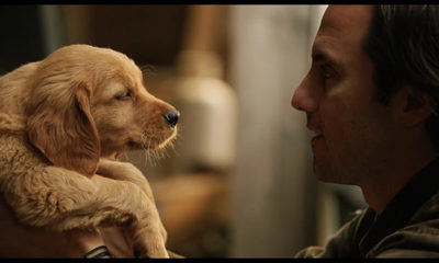 “Mi amigo Enzo”, la película que te hará llorar