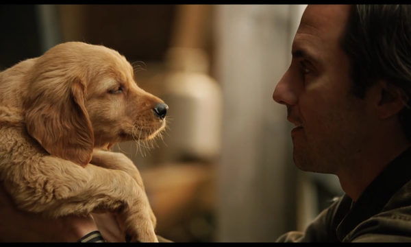 “Mi amigo Enzo”, la película que te hará llorar