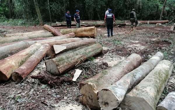 Rolleros atacan a tiros a guardaparques y fiscalizadores en Reserva San Rafael » Ñanduti