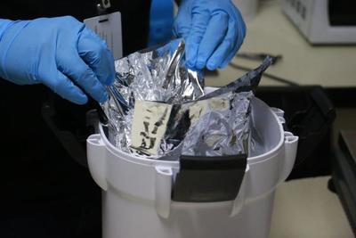 Decomisan dos kilos de metanfetaminas procedentes de Holanda - ADN Paraguayo