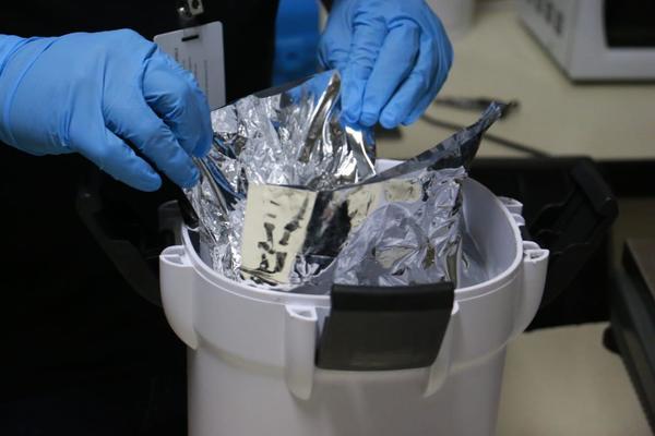 Decomisan dos kilos de metanfetaminas procedentes de Holanda - ADN Paraguayo