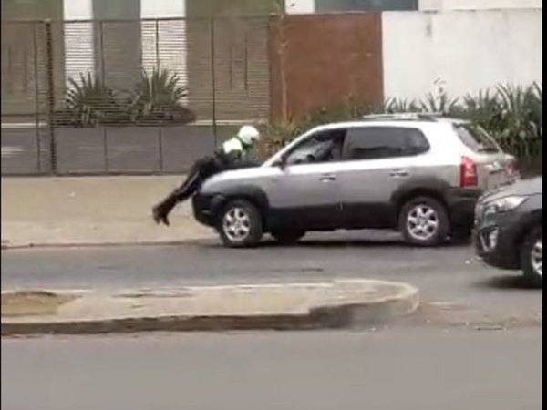 "Paseó" sobre su capó a un zorro y luego lo tongueó