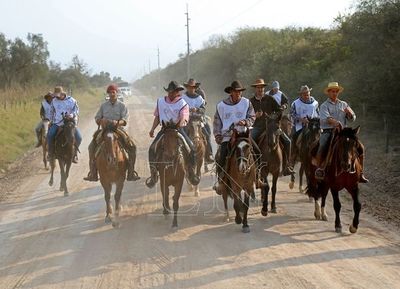 Hay fuerte proyección expansiva del caballo criollo en el Chaco