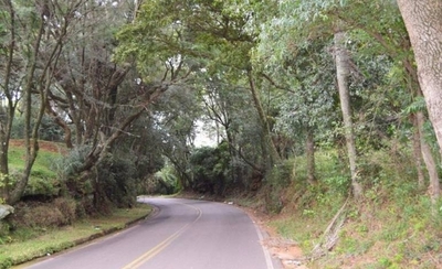 HOY / Guardianes del bosque limpiarán 10 Km de la ruta Paraguarí-Piribebuy