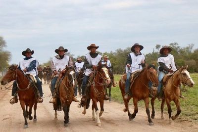 Marcha criolla: Una muestra excelente de genética equina