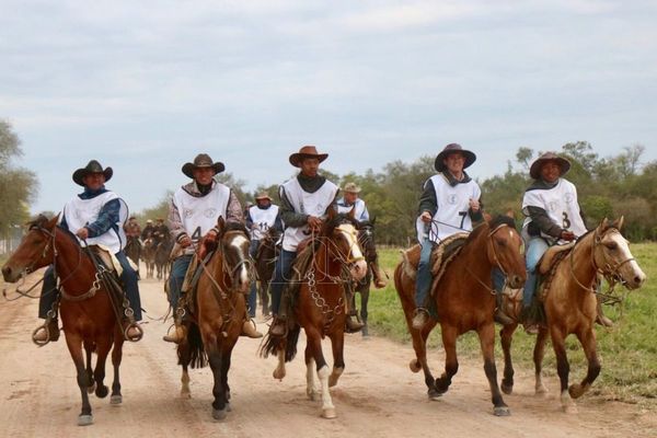 Marcha criolla: Una muestra excelente de genética equina