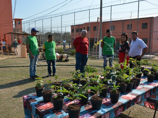 Internos donan plantines para contribuir con el medio ambiente