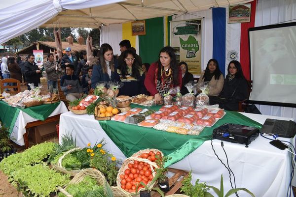 Se realizó la primera edición de la Expoferia del tomate en Misiones - Nacionales - ABC Color