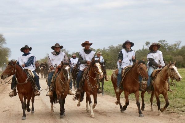 Remate de criollos ofrecerá una calidad genética superior