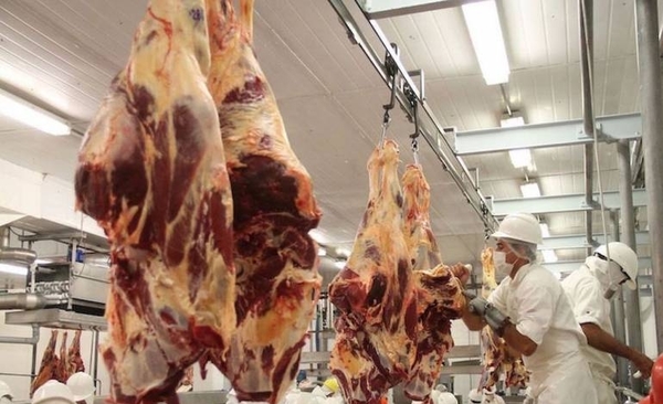 HOY / Paraguay acude a feria de Alemania para potenciar cárnicos, granos y hierbas