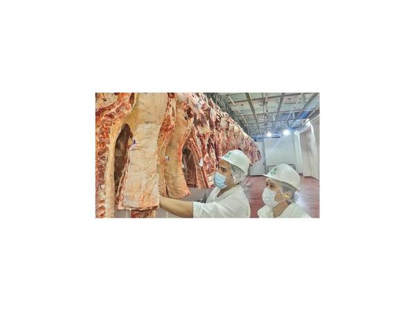 Aparecen señales positivas para la exportación de carne