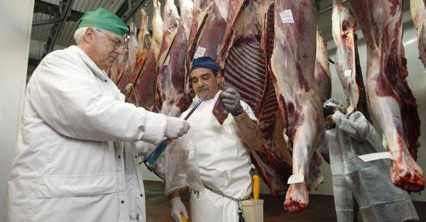 En julio creció la faena y la exportación de carne