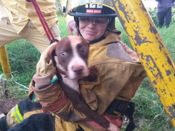 Perrita desaparecida fue rescatada del interior de un pozo