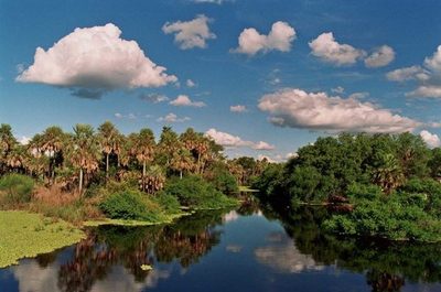 Buscan que el pantanal paraguayo sea elevado a patrimonio de la humanidad » Ñanduti