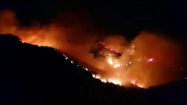 Al menos 1.000 personas evacuadas tras incendio forestal en Gran Canaria » Ñanduti