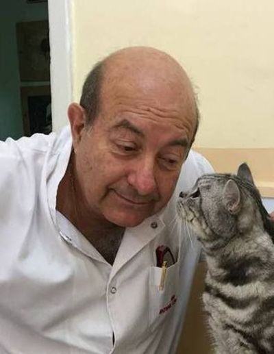 El doctor de los gatos - Mascotas - ABC Color