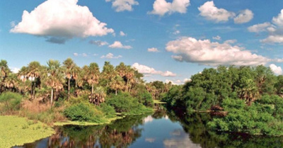 Buscan patrimonio de la  humanidad para pantanal