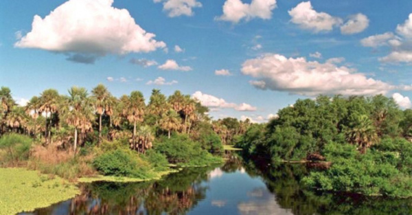 Buscan patrimonio de la humanidad para pantanal