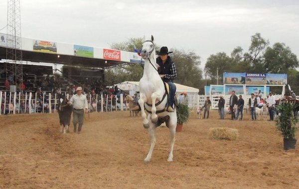 Más de 180 empresas y unos 500 animales en Expo Trebol