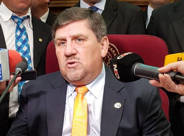 Senadores piden participación nacional en renegociación de Itaipú