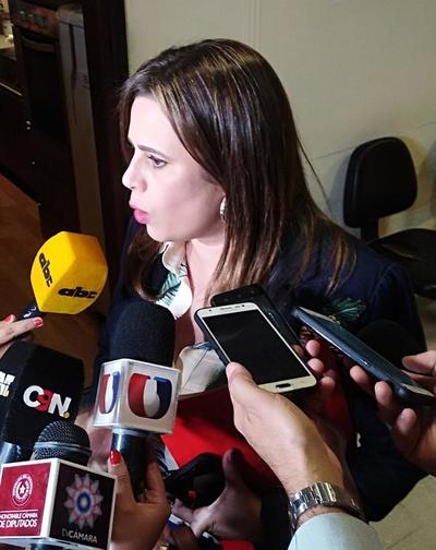 En diputados designan a integrantes de Comisión Bicameral de Investigación del Acta Bilateral - .::RADIO NACIONAL::.