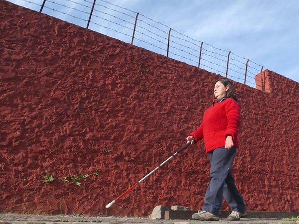 ¿Qué dice la ley sobre los pasajeros no videntes?