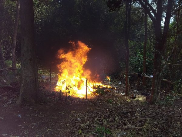 Destruyen más de 100 kilos de marihuana en Pedro Juan Caballero