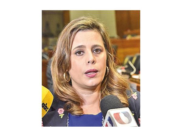 Diputados integró la Comisión Bicameral de Investigación
