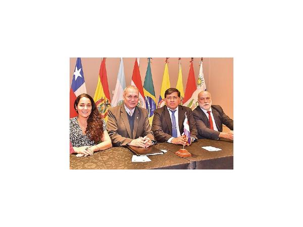 Asunción recibe a técnicos de la región para tratar proyectos