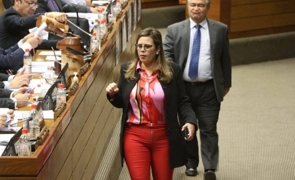 HOY / Pleno confirma a Walter Harms en vez de Kattya en comisión de Itaipú